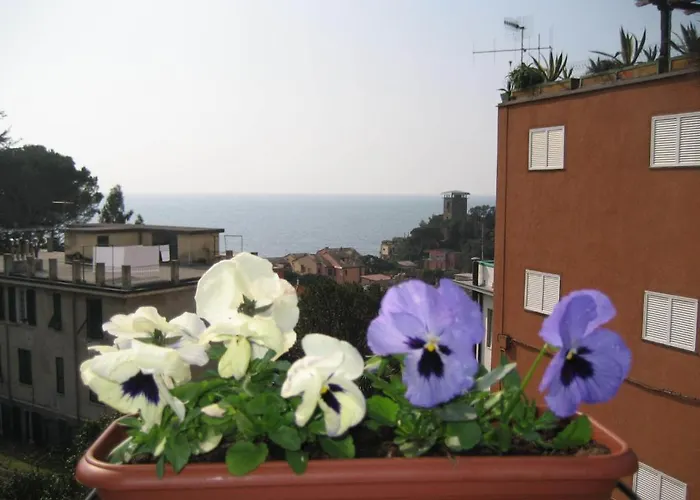 Гостевой дом Cristina