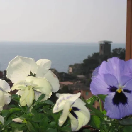 Cristina Guest house *
