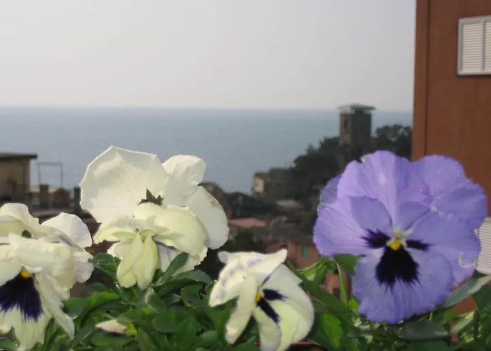 Cristina Pensión 4*